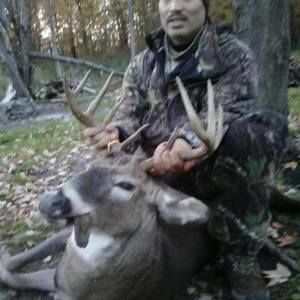 Meet your Posher, Molly